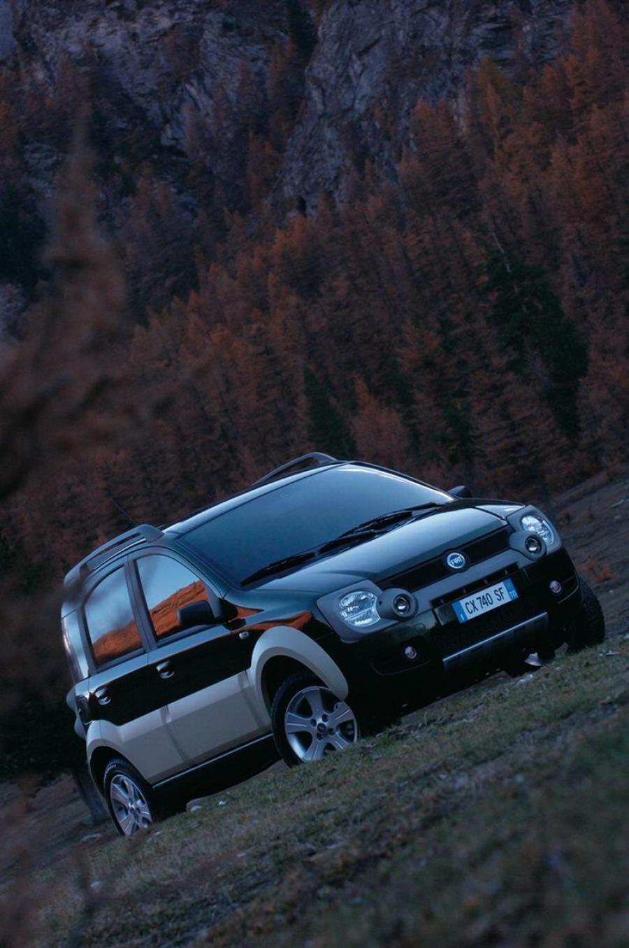  Fiat Panda Cross 2006 года  (фото 24 из 39)